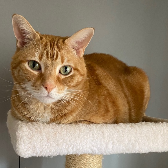 Meet Your Seller ❤️ Thanks for Shopping with Me! - Picture 8 of 8